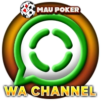 Whatsapp Channel